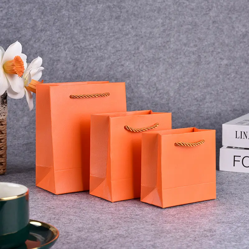 Colorful Gift Paper Bags in Various Sizes (6)