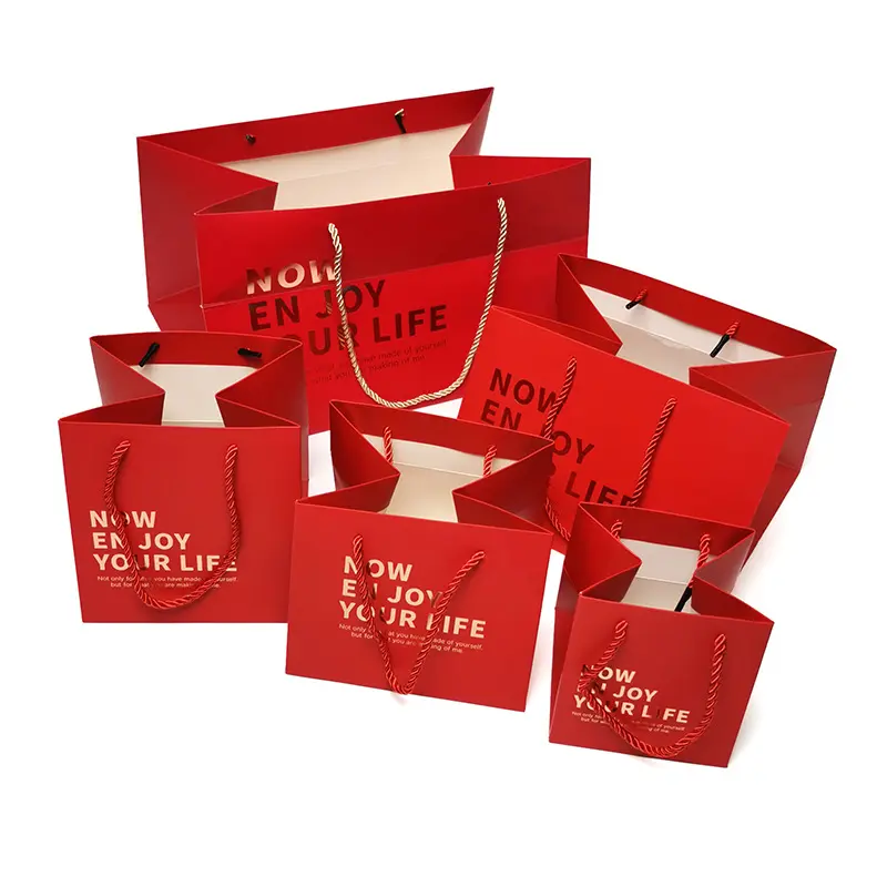 Square Paper Shopping Bag (1)