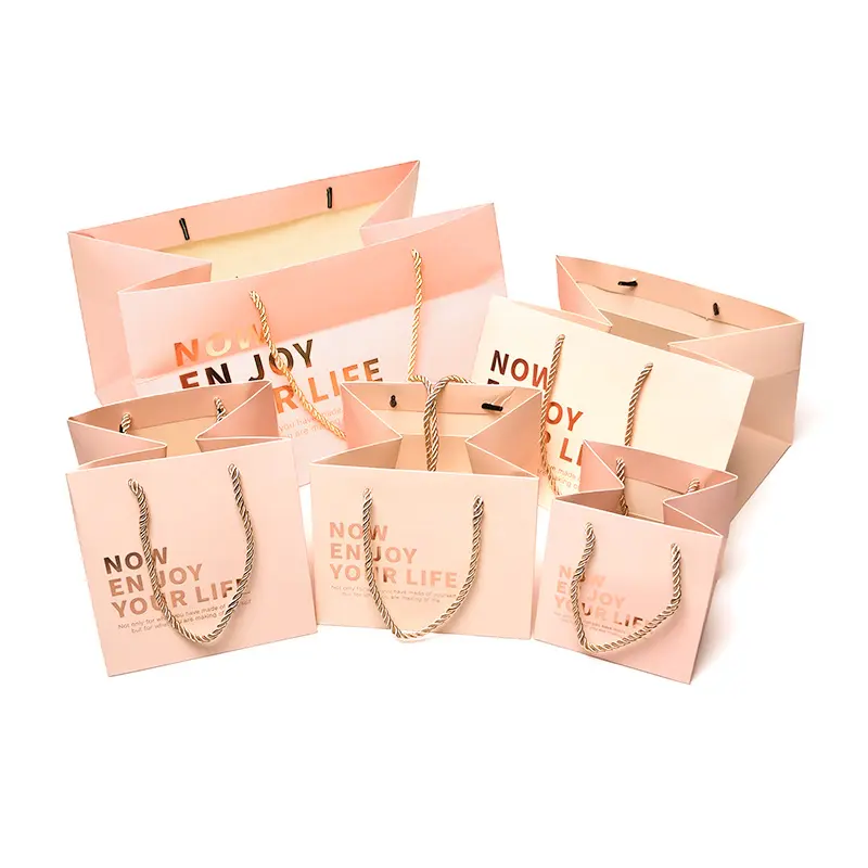 Square Paper Shopping Bag (3)