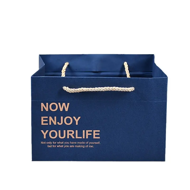 Square Paper Shopping Bag (3)