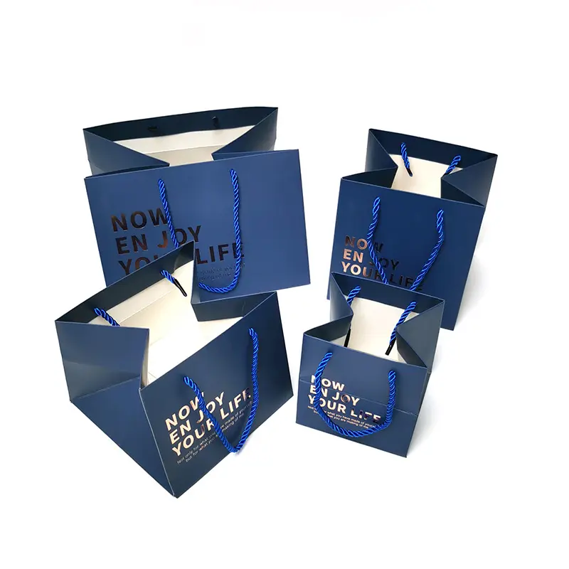 Square Paper Shopping Bag (4)
