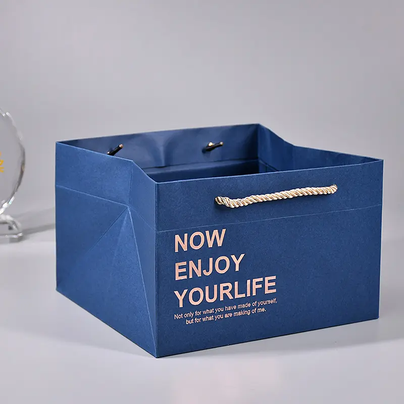 Square Paper Shopping Bag (6)