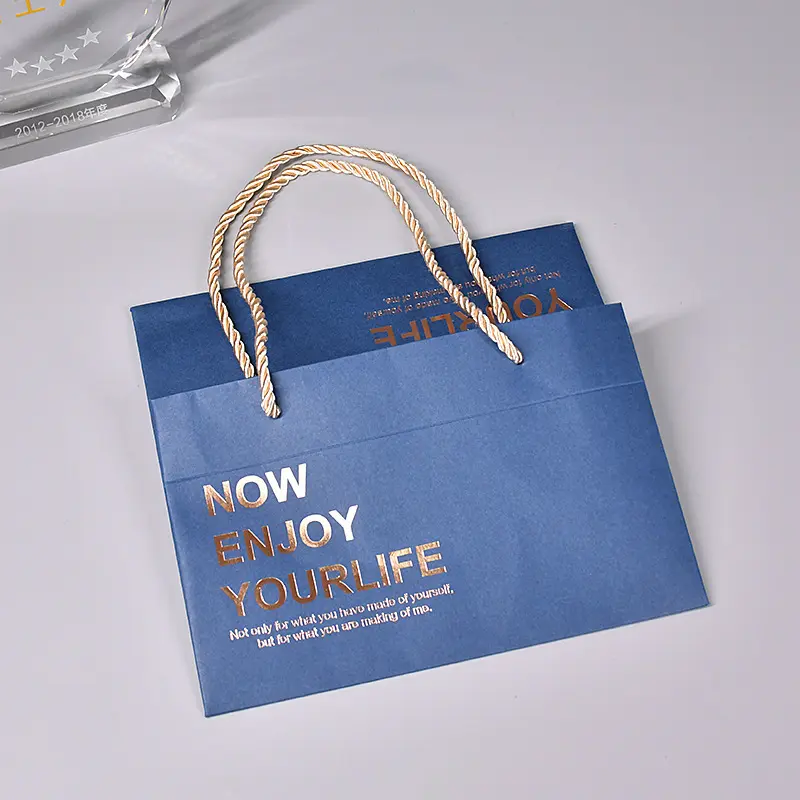 Square Paper Shopping Bag (8)