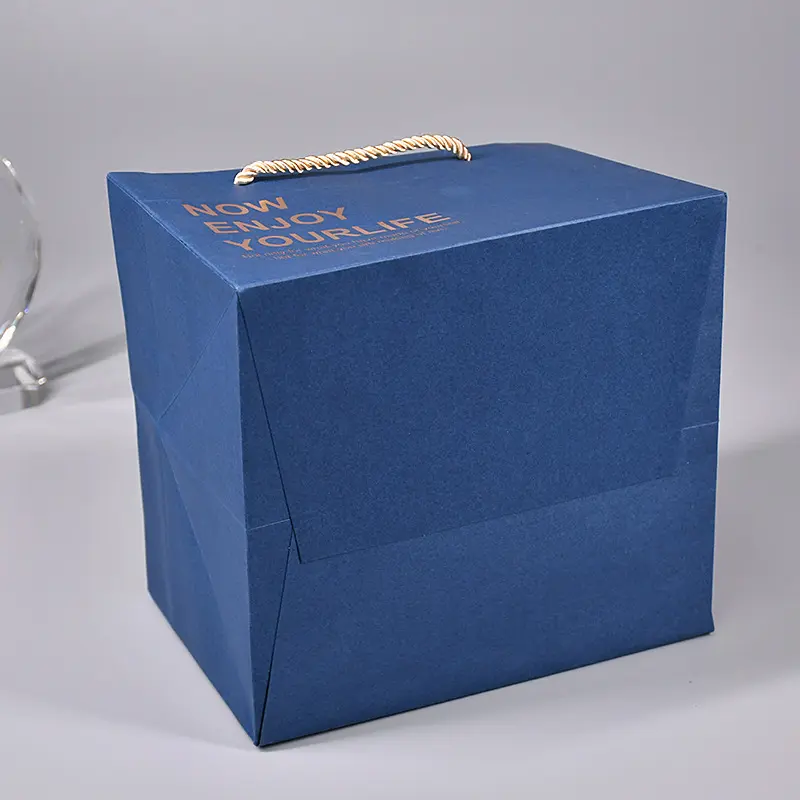 Square Paper Shopping Bag (9)