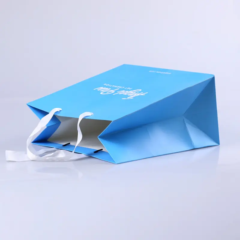 Custom Printed Paper Bags With Your Own Logo (6)