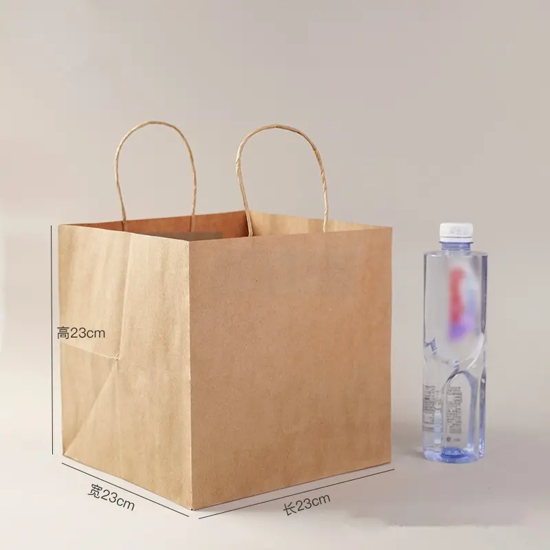 Multipurpose Kraft Paper Gift Bags (9)