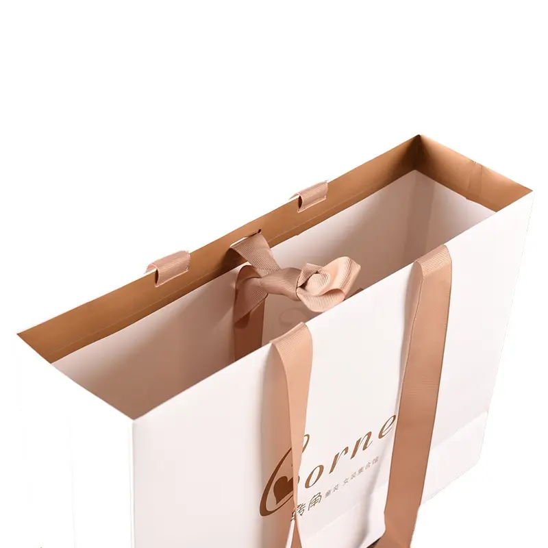Reusable Carrier Paper Bag For Clothes (2)