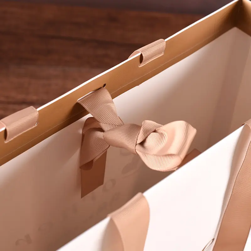 Reusable Carrier Paper Bag For Clothes (4)