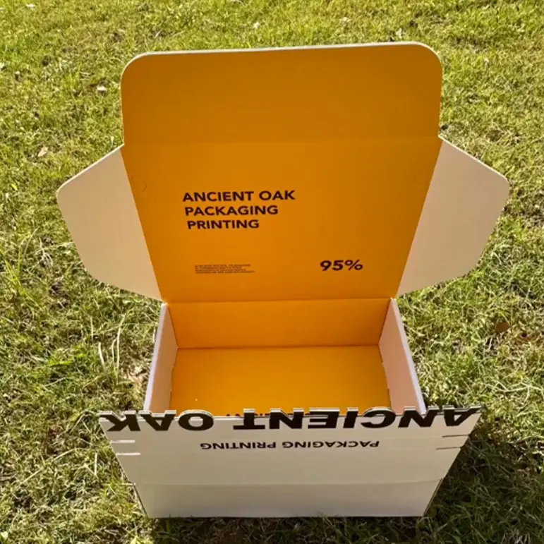 Zipper Tear Strip Mailer Box (4)